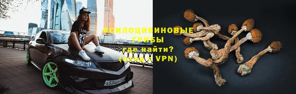гидропоника Аркадак