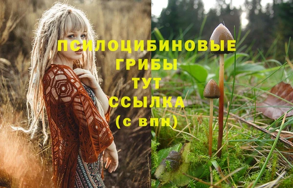 ECSTASY Михайлов