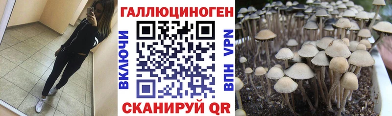 Псилоцибиновые грибы Magic Shrooms  даркнет сайт  Сельцо 