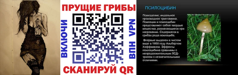 Галлюциногенные грибы MAGIC MUSHROOMS Сельцо